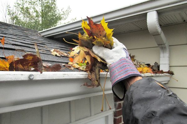 Eaves Cleaning in Rotonda West