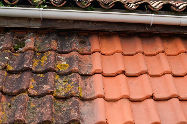 Industrial Roof Cleaning in Rotonda West