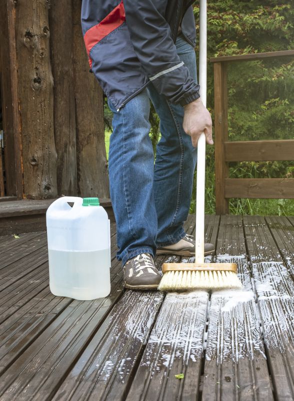 Deck Mold Cleaning